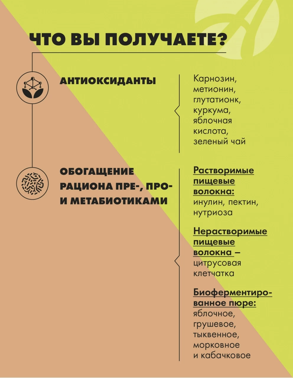 Mask group
